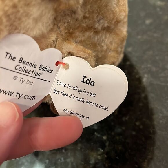 TY Beanie Baby 6" IDA Hedgehog Plush Stuffed Animal MWMT & Heart Protector MINT - Picture 8 of 11